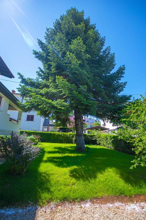 Apartment Pinia Poreč Kültér fotó